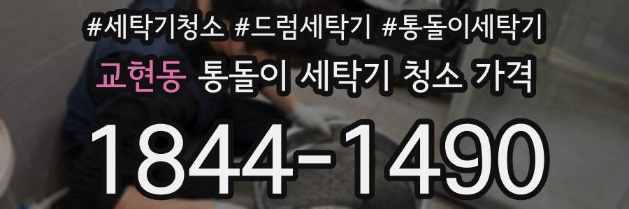 교현동 통돌이 세탁기 청소 가격