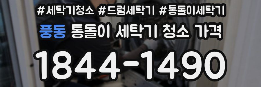 풍동 통돌이 세탁기 청소 가격