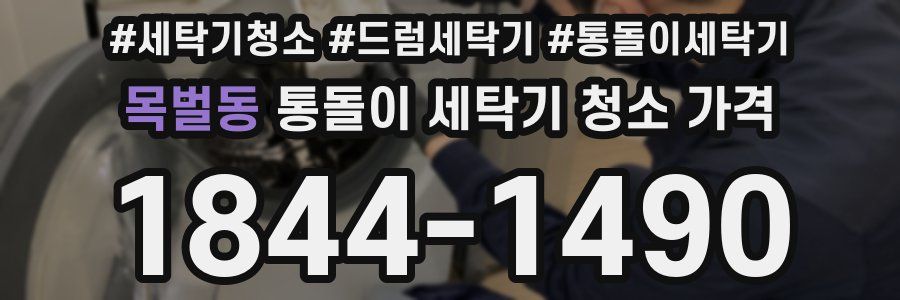 목벌동 통돌이 세탁기 청소 가격