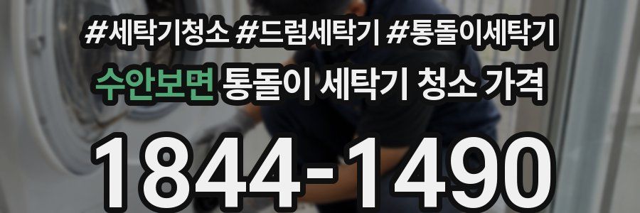 수안보면 통돌이 세탁기 청소 가격