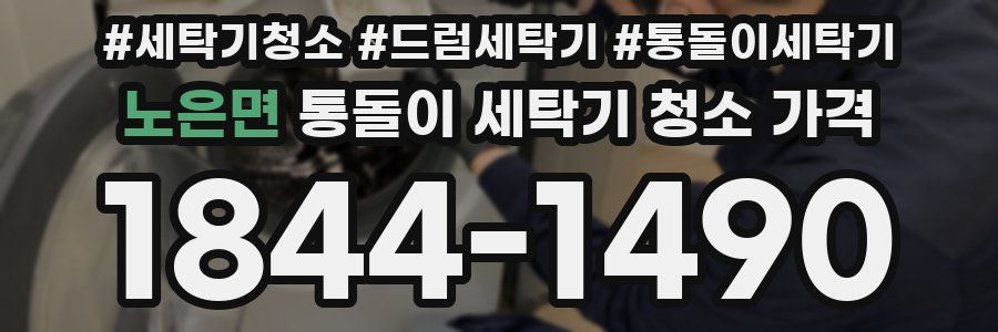 노은면 통돌이 세탁기 청소 가격