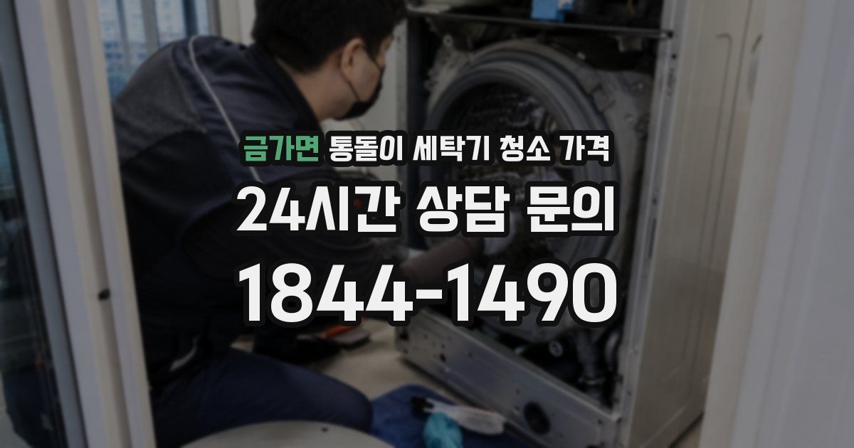 금가면 통돌이 세탁기 청소 가격