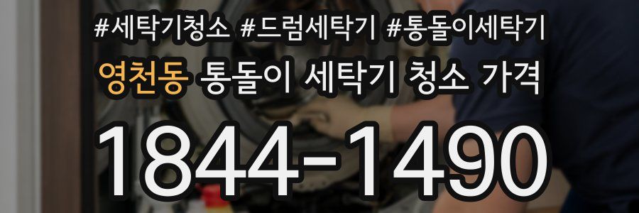 영천동 통돌이 세탁기 청소 가격