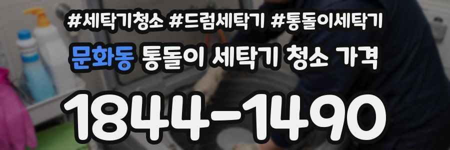 문화동 통돌이 세탁기 청소 가격