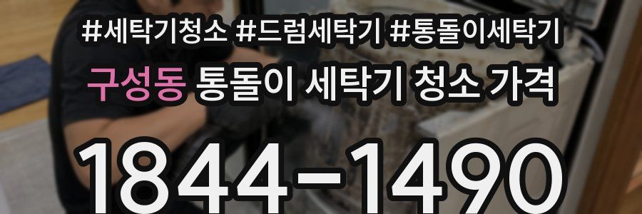 구성동 통돌이 세탁기 청소 가격