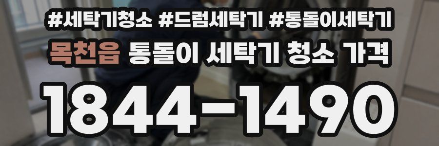 목천읍 통돌이 세탁기 청소 가격