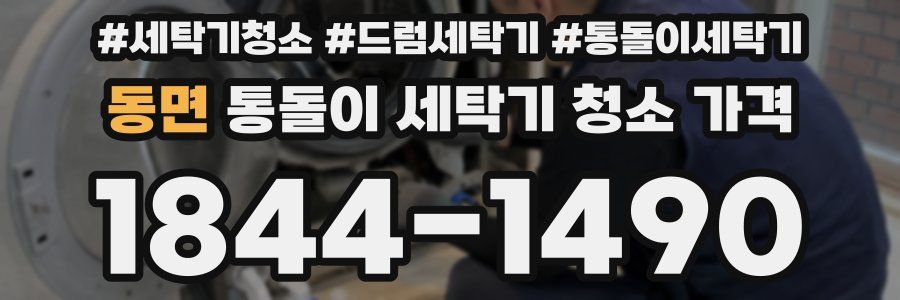 동면 통돌이 세탁기 청소 가격