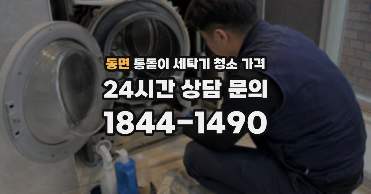 동면 통돌이 세탁기 청소 가격