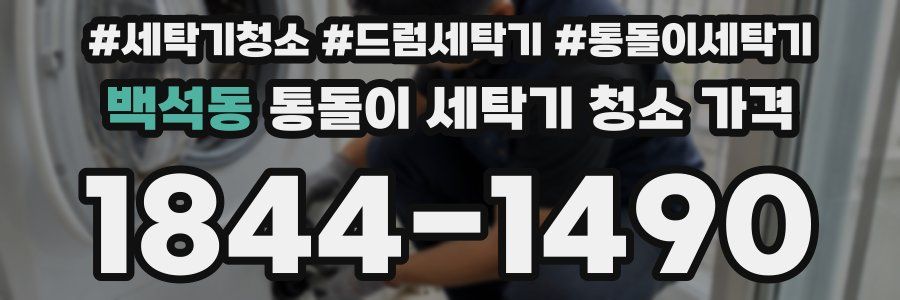 백석동 통돌이 세탁기 청소 가격