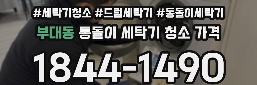 부대동 통돌이 세탁기 청소 가격