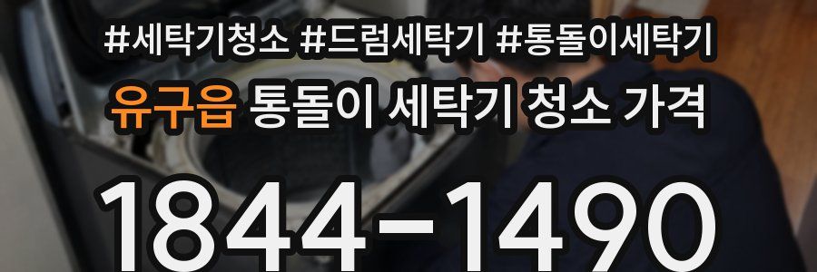 유구읍 통돌이 세탁기 청소 가격