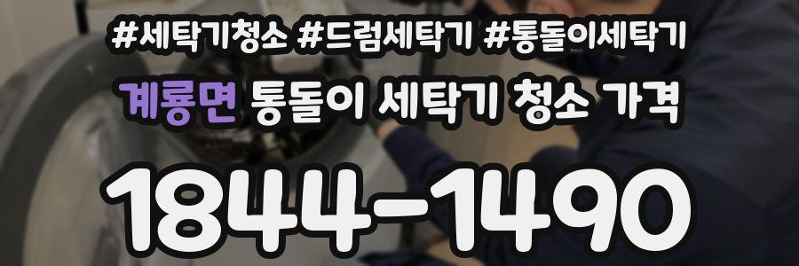 계룡면 통돌이 세탁기 청소 가격