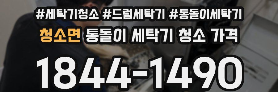 청소면 통돌이 세탁기 청소 가격