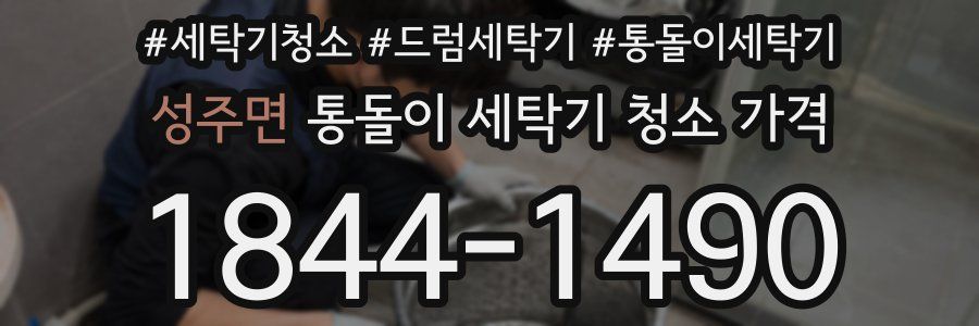 성주면 통돌이 세탁기 청소 가격