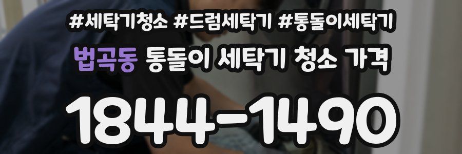 법곡동 통돌이 세탁기 청소 가격