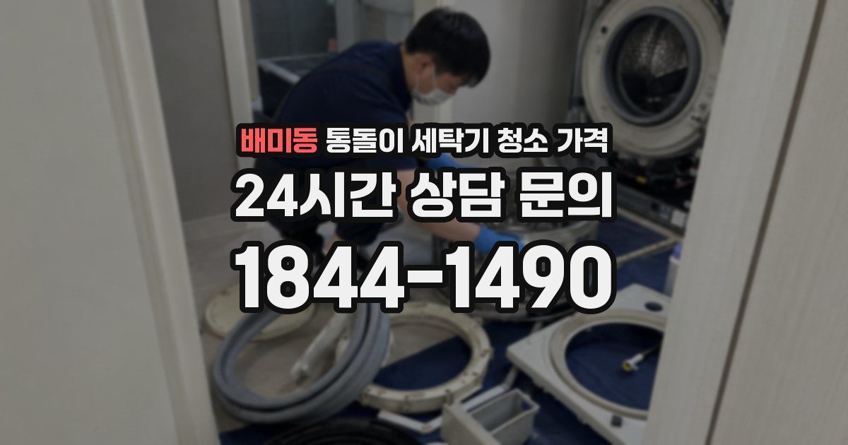 배미동 통돌이 세탁기 청소 가격