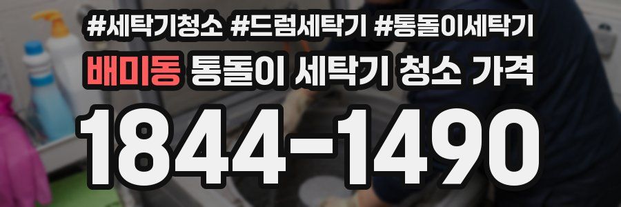 배미동 통돌이 세탁기 청소 가격
