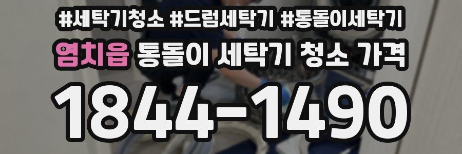 염치읍 통돌이 세탁기 청소 가격