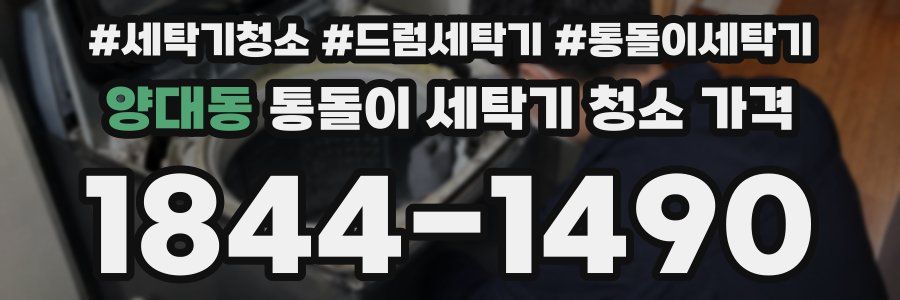 양대동 통돌이 세탁기 청소 가격