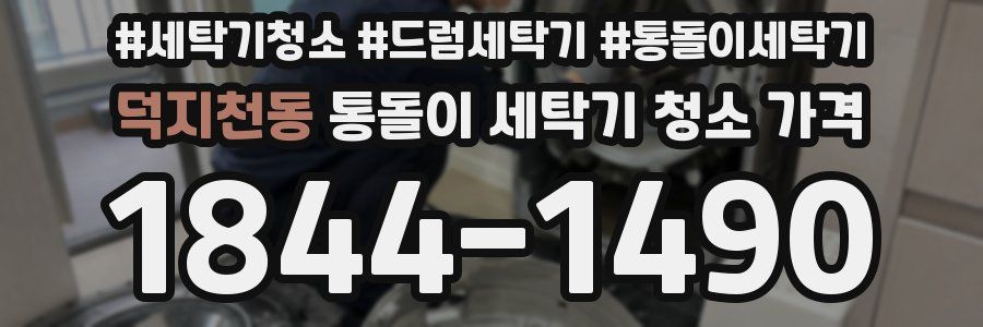 덕지천동 통돌이 세탁기 청소 가격