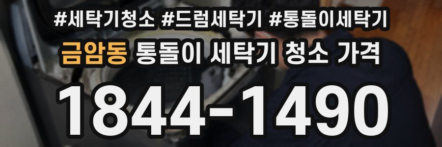 금암동 통돌이 세탁기 청소 가격