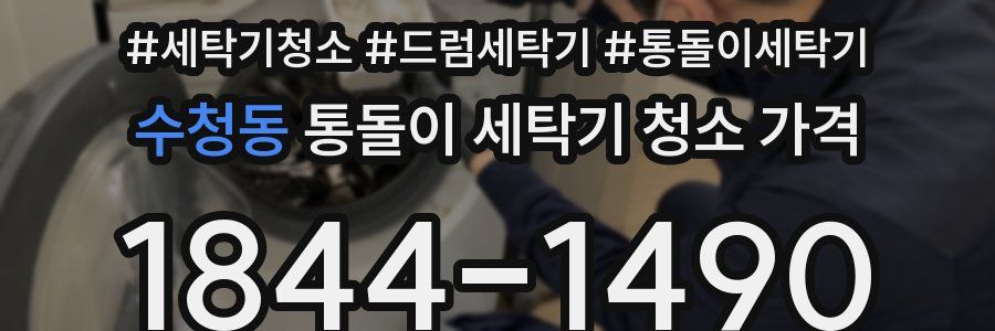 수청동 통돌이 세탁기 청소 가격