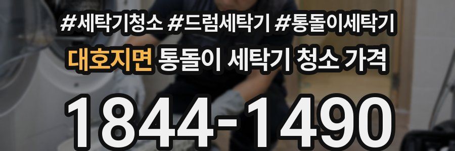 대호지면 통돌이 세탁기 청소 가격