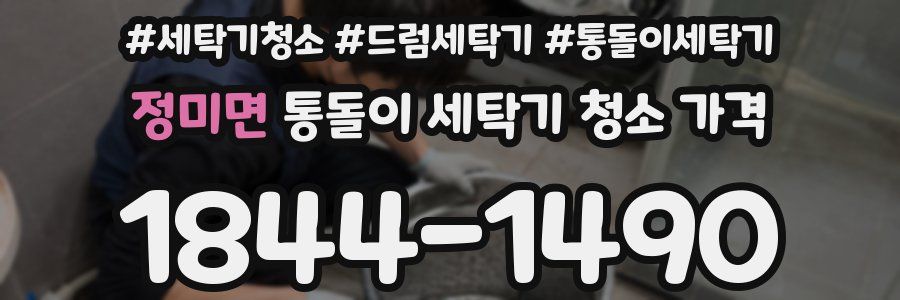 정미면 통돌이 세탁기 청소 가격
