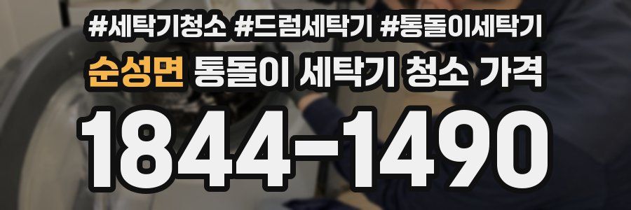 순성면 통돌이 세탁기 청소 가격