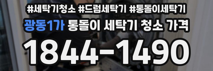 광동1가 통돌이 세탁기 청소 가격
