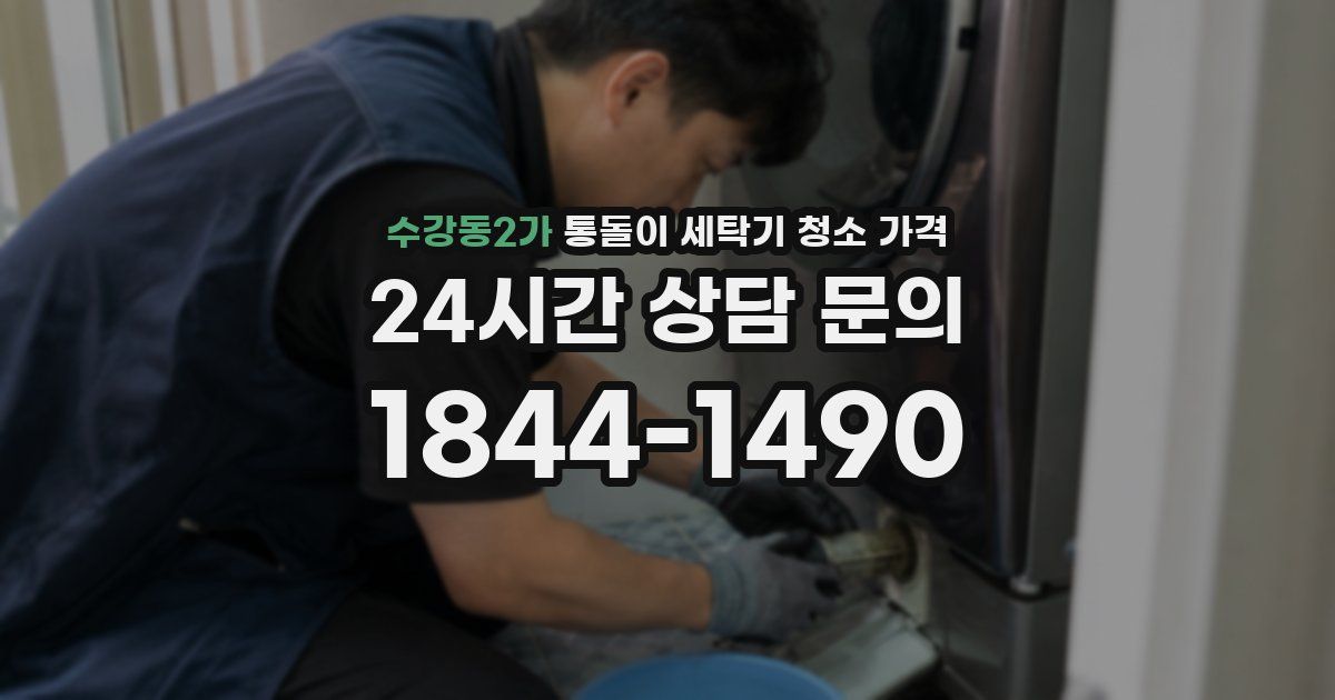 수강동2가 통돌이 세탁기 청소 가격