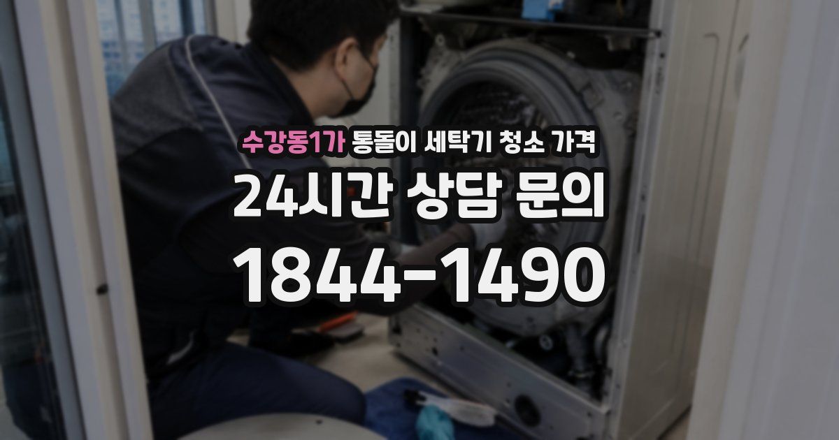 수강동1가 통돌이 세탁기 청소 가격