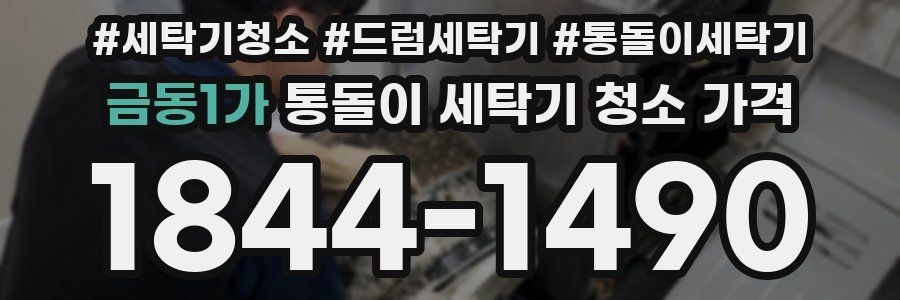 금동1가 통돌이 세탁기 청소 가격
