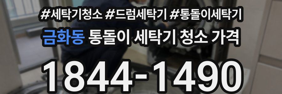 금화동 통돌이 세탁기 청소 가격