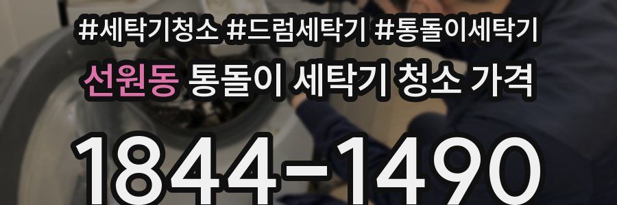 선원동 통돌이 세탁기 청소 가격