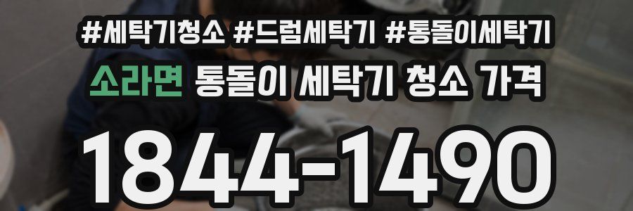 소라면 통돌이 세탁기 청소 가격