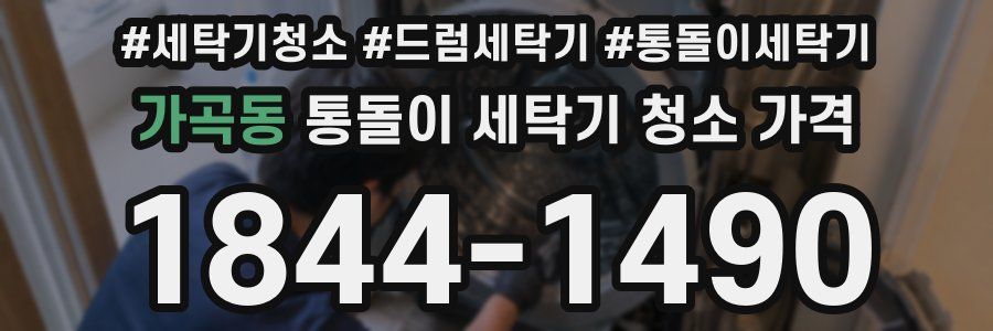 가곡동 통돌이 세탁기 청소 가격