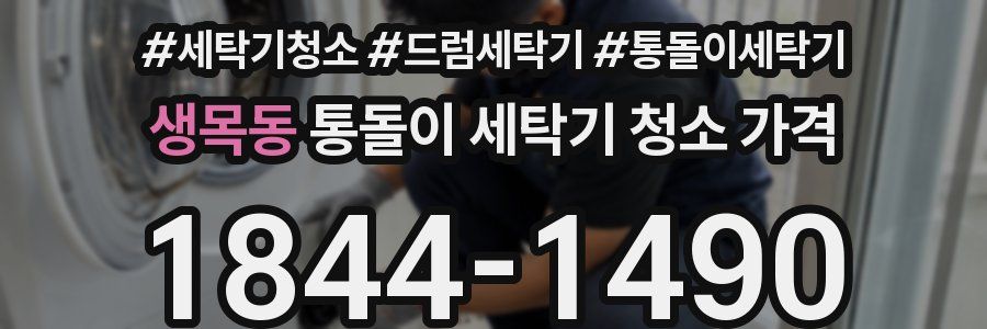 생목동 통돌이 세탁기 청소 가격