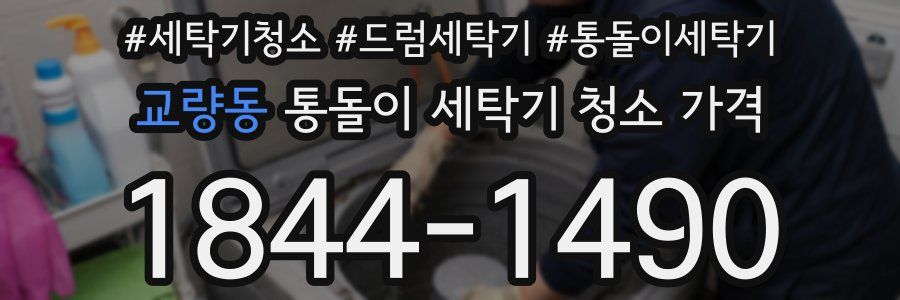 교량동 통돌이 세탁기 청소 가격