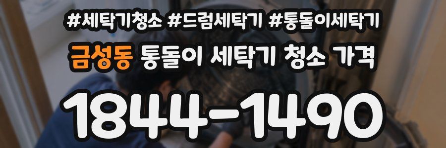 금성동 통돌이 세탁기 청소 가격