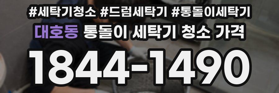 대호동 통돌이 세탁기 청소 가격