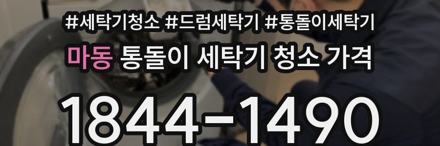 마동 통돌이 세탁기 청소 가격