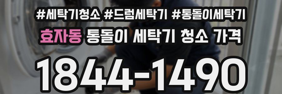 효자동 통돌이 세탁기 청소 가격