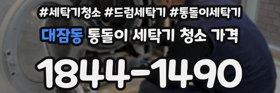 대잠동 통돌이 세탁기 청소 가격