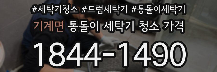 기계면 통돌이 세탁기 청소 가격