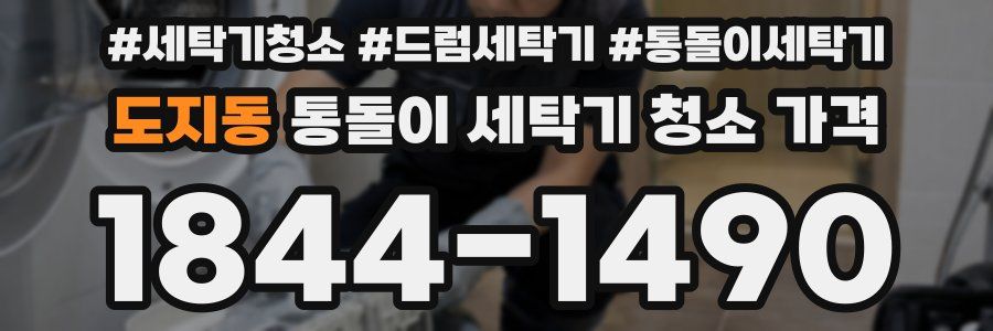 도지동 통돌이 세탁기 청소 가격