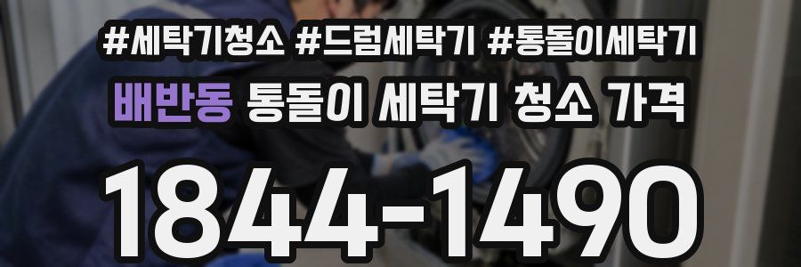 배반동 통돌이 세탁기 청소 가격