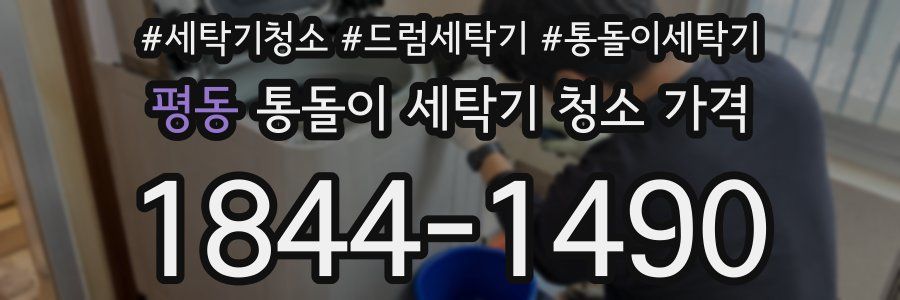 평동 통돌이 세탁기 청소 가격