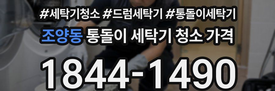 조양동 통돌이 세탁기 청소 가격