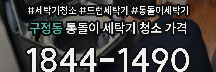 구정동 통돌이 세탁기 청소 가격